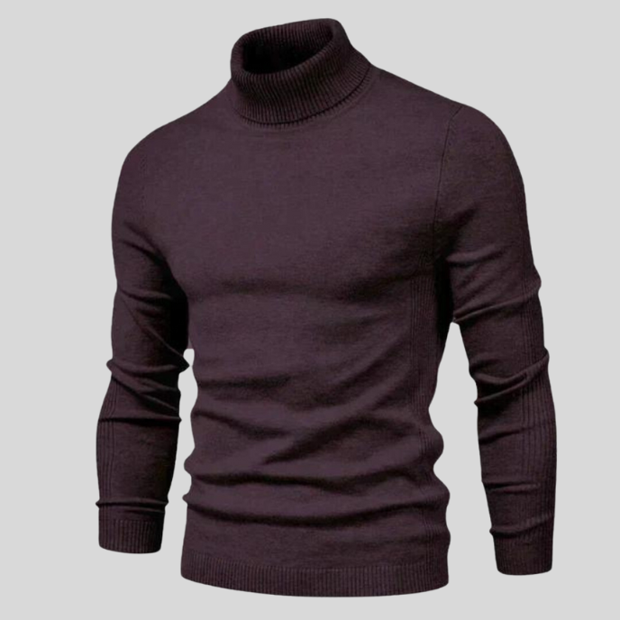 Alden Turtleneck Sweater